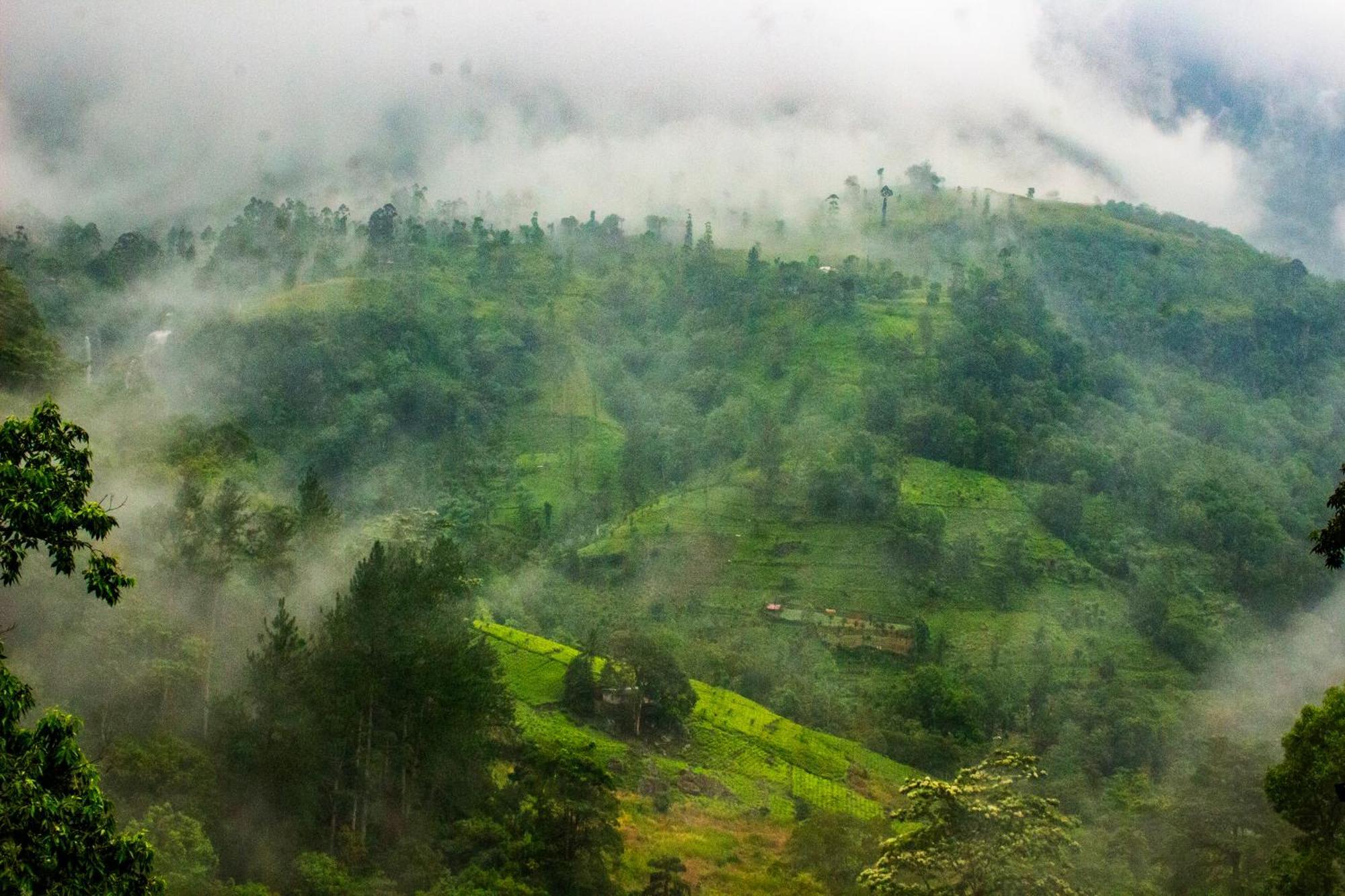 Ramboda Falls Plc Luaran gambar